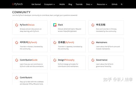 Pytorch Org Tutorial 的图像结果