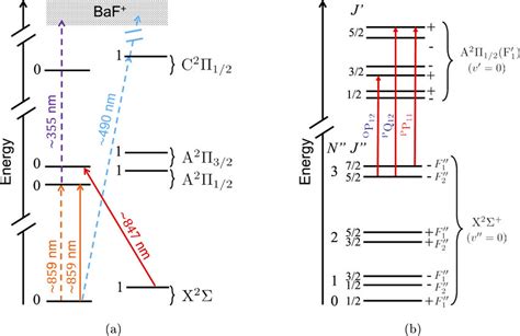 Image result for Extracts BAF