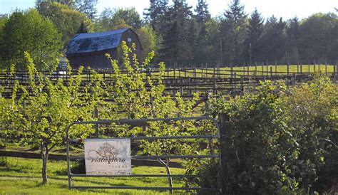 8 Things To Do In Langley That You Must Explore On Your Next Vacay