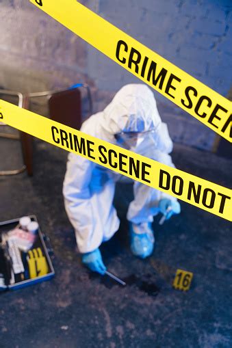 Image result for Forensics Parallel Search Pattern
