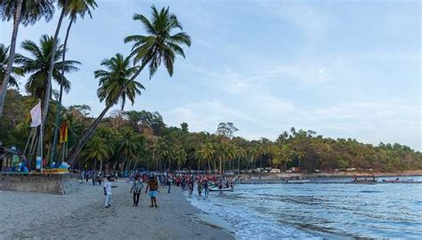 8 Festivals of Andaman and Nicobar Islands For A Cultural Escape