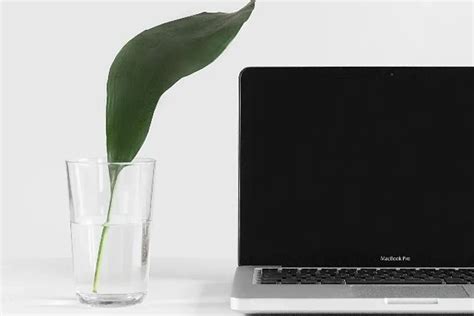 Avana City North - Atlanta, GA 30345 | ApartmentGuide.com