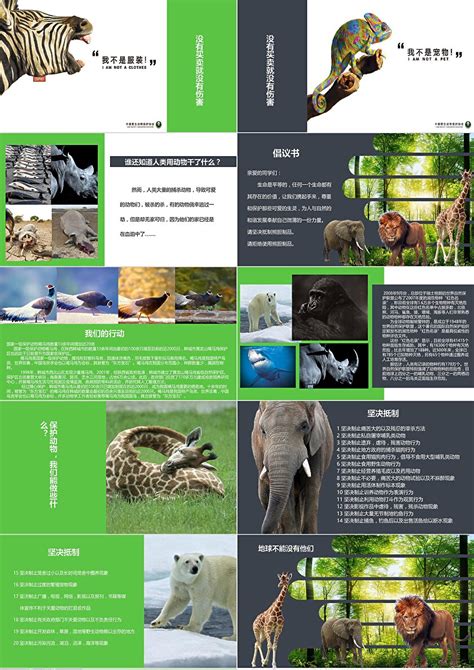 世界动物保护日同一个地球同一个梦想主题PPT模板_PPT牛模板网