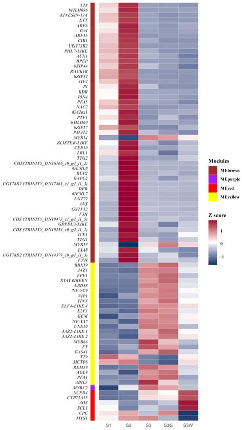 IJMS | February-2 2024 - Browse Articles