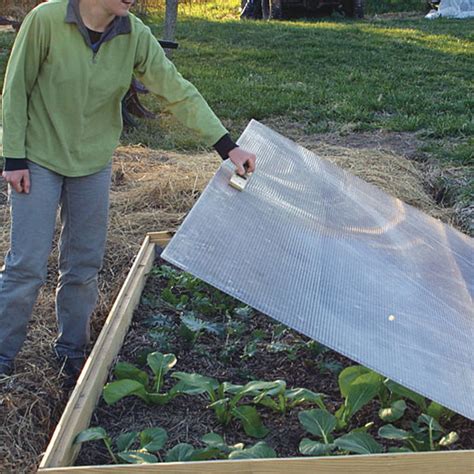 Image result for PVC Pipe Cold Frame