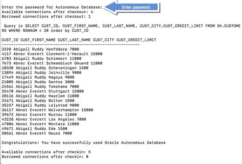 Eclipse Oracle Database Connection 的图像结果
