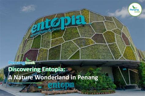 10 Things to Do in Penang at Night: Attractions & Activities