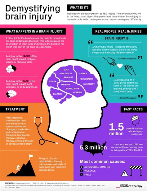 Demystifying brain injury - infographic explains the basics | Constant Therapy