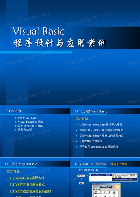 VB 2008 Tutorial 的图像结果