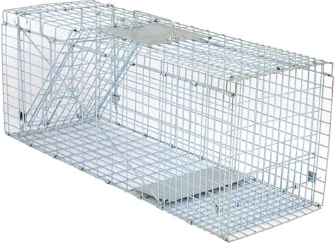 Image result for Gopher Traps