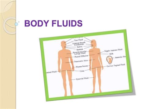 Image result for Body Fluids Tutorial
