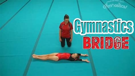 Image result for Gymnastics Bridge Variations