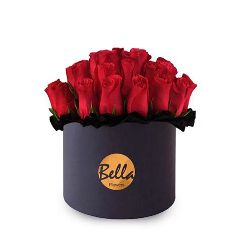 Wholesale Plastic Planter Boxes