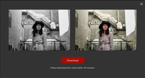 Colorize Photos Software 的图像结果