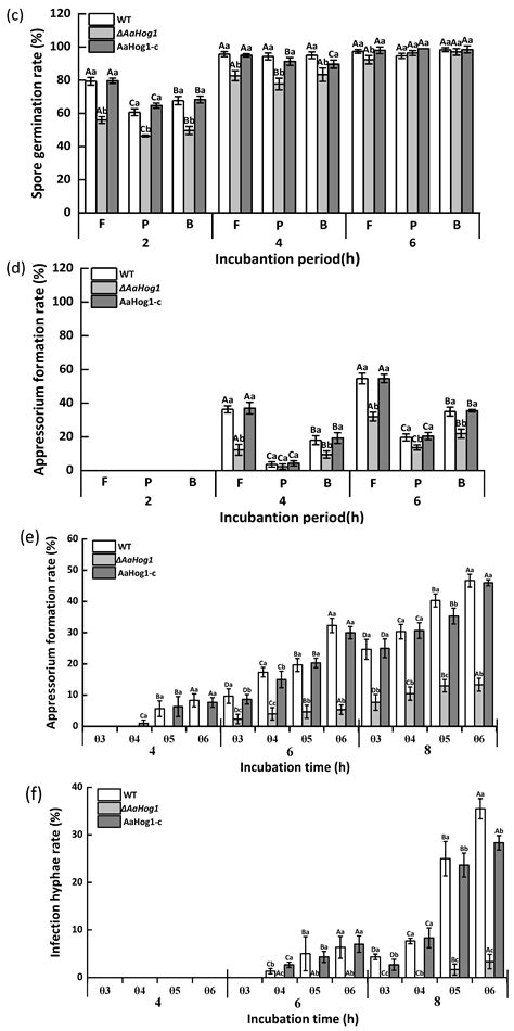 AaHog1 Regulates Infective Structural Differentiation Mediated by ...