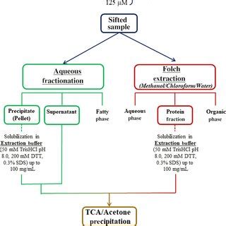 Image result for Protein Extraction Simple Protocol