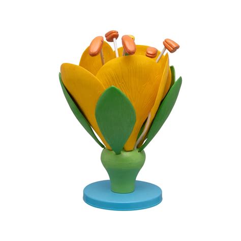 Buy Typical Flower Model – Detailed Botanical Teaching Aid for Classro