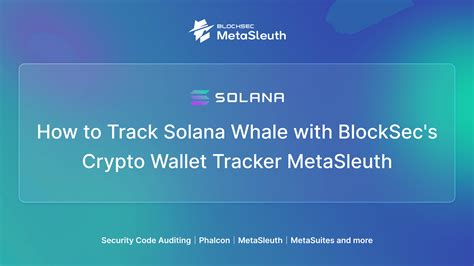 How to Track Solana Whale with BlockSec's Crypto Wallet Tracker ...