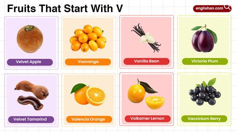 125 Fruits That Start With V Complete List