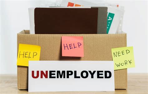 Female jobless rate hits three-month high: Periodic Labour Force Survey