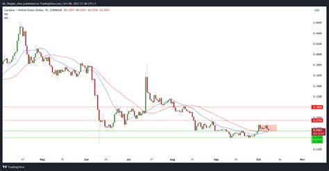 Latest Cardano 的图像结果