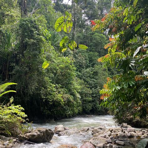 SUMATERA KETAMBE TREKKING (2025) All You Need to Know BEFORE You Go ...