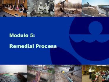 Image result for Evolution Remedial Module