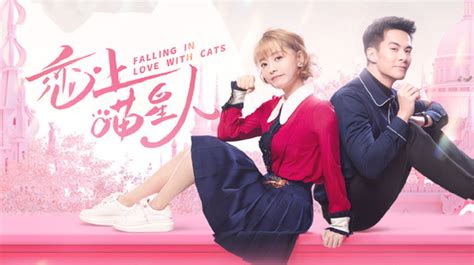 Yêu Phải Nàng Meo Tinh - Falling In Love With Cats (2020) Lướt Phim