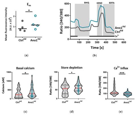 Endothelial Dysfunction Following Enhanced TMEM16A Activity in Human ...