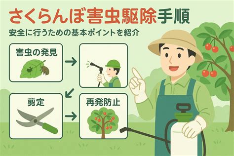 Code.org Programming 的图像结果