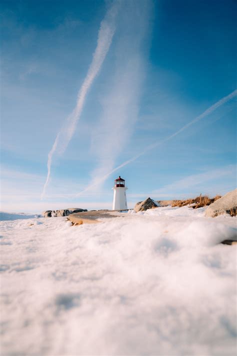 Support Local Halifax 的图像结果