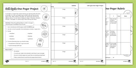 Cell Cycle and Mitosis Worksheet | Resource | Twinkl USA