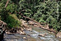 Kapildhara Waterfall (Amarkantak) - All You Need to Know BEFORE You Go