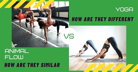Difference between Animal Flow and Yoga — Roshni Sanghvi