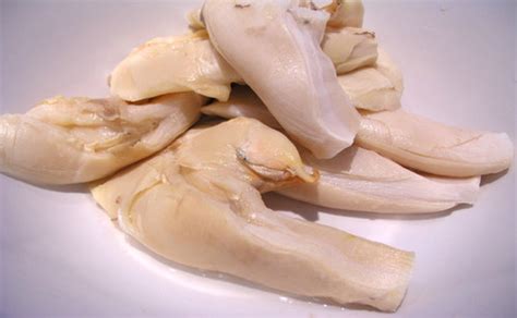 Image result for Conch Shell Meat
