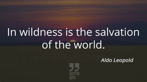 Quote by Aldo Leopold: In Wildness Is the Salvation of the World | Best ...