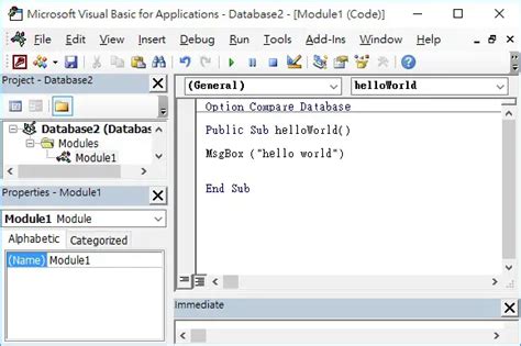 Image result for MS Access Macro and Module Code Tutorial