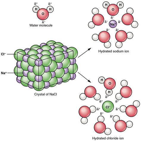 This figure shows a crystal lattice of sodium chloride interacting with ...