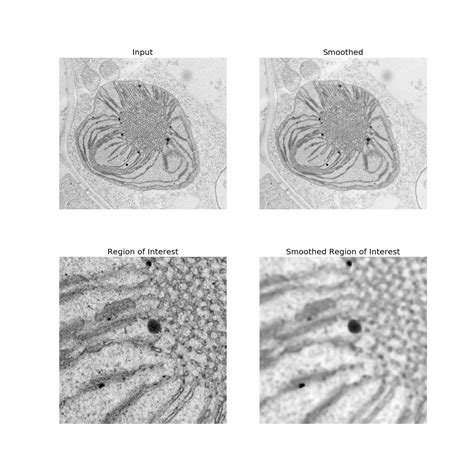 How to Apply Maximum Smoothing Filter in Python 的图像结果