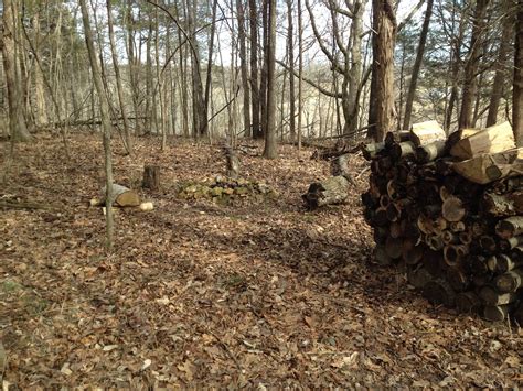 Bailey's Point Campground in Barren River Lake, Kentucky: Reviews and ...