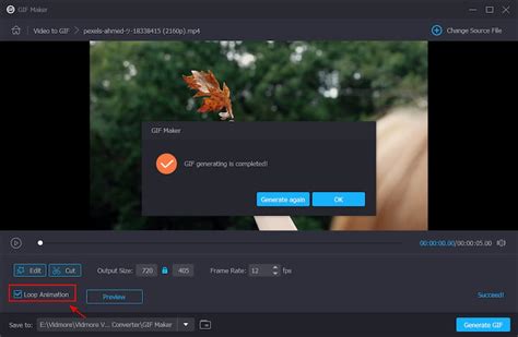 Image result for MP4 to GIF Tutorial