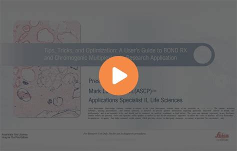 Understanding IHC: Basics to Clinical Applications