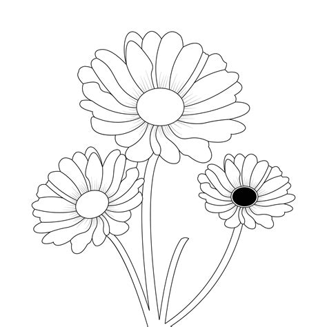 Daisy Flower Coloring Page And Book Line Art Vector 19902730 Vector Art ...