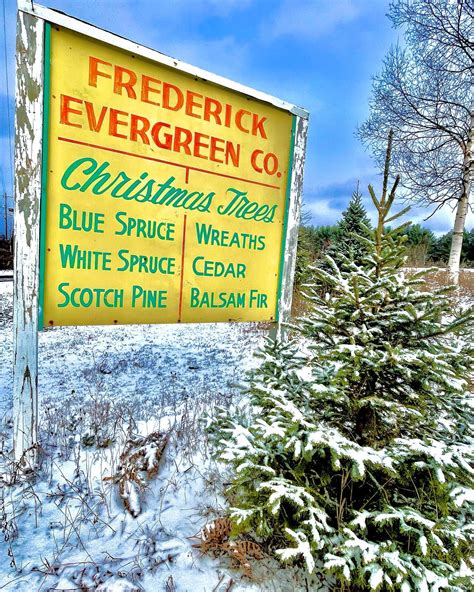 East Channel Brewing Company (@eastchannelbrewing) • Instagram photos ...