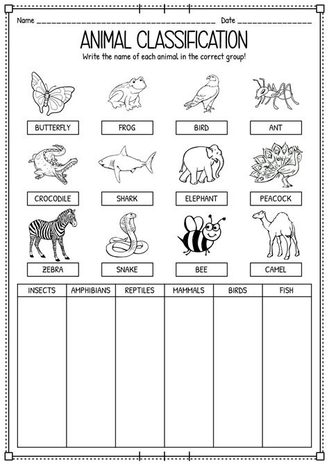 15 Engaging Animal Classification Worksheets for Preschoolers | Animal ...
