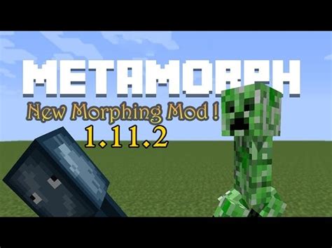 Image result for Minecraft Morph Mod Controls