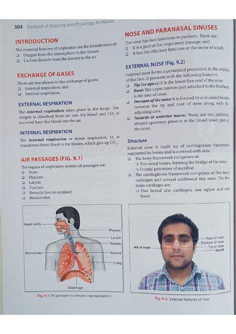 Nasal cavity - Bsc nursing - Studocu