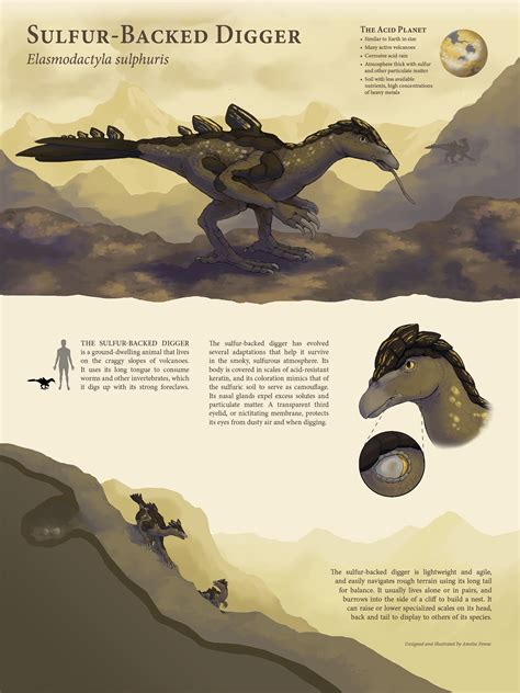 Image result for Alien Life Form