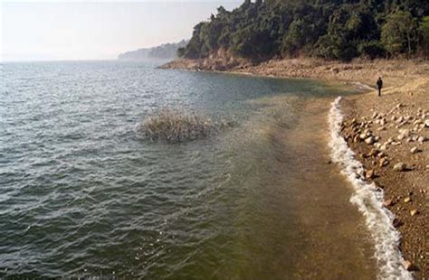 पंजाब पर मंडराने लगा एक और खतरा: पौंग डैम में पानी का बढ़ा स्तर , अलर्ट ...