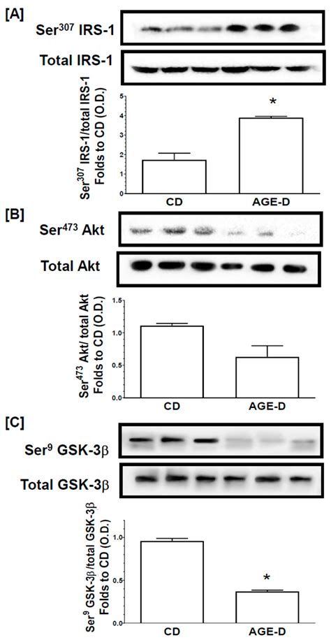 Effects of Exogenous Dietary Advanced Glycation End Products on the ...